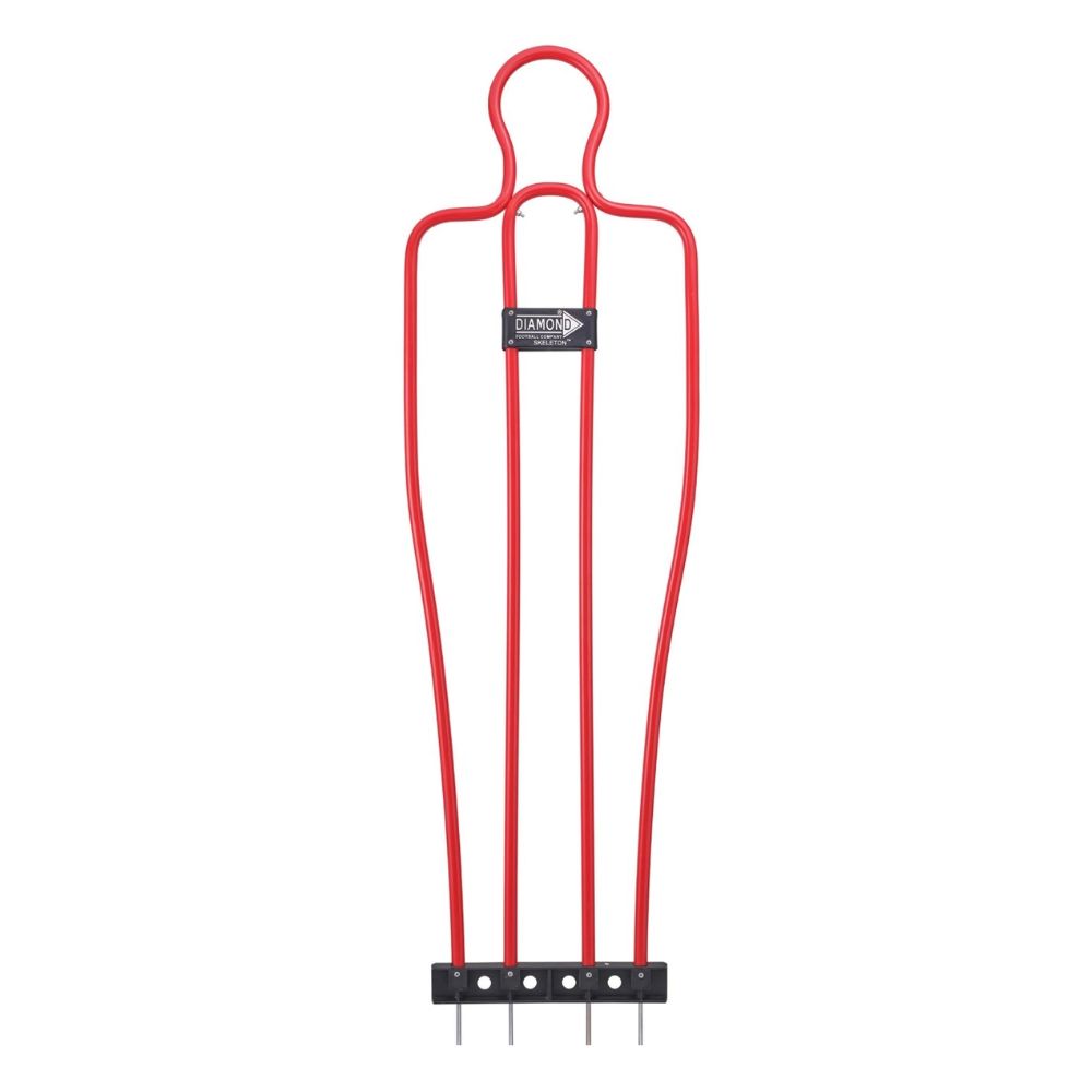 Diamond Football Co. - Senior Skeleton Mannequin